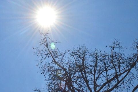 Máximas de 38°C para el fin de semana largo