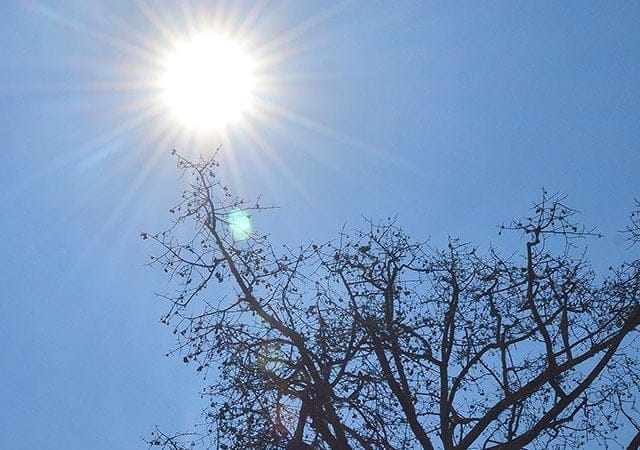 Máximas de 38°C para el fin de semana largo Máximas de 38°C para el fin de semana largo