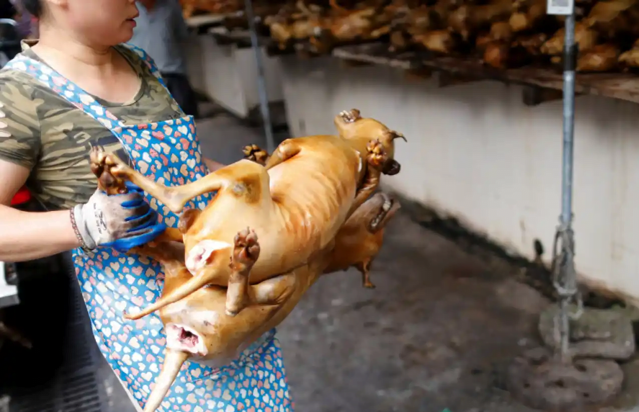 Corea del Sur prohíbe su tradición milenaria de consumir carne de perro