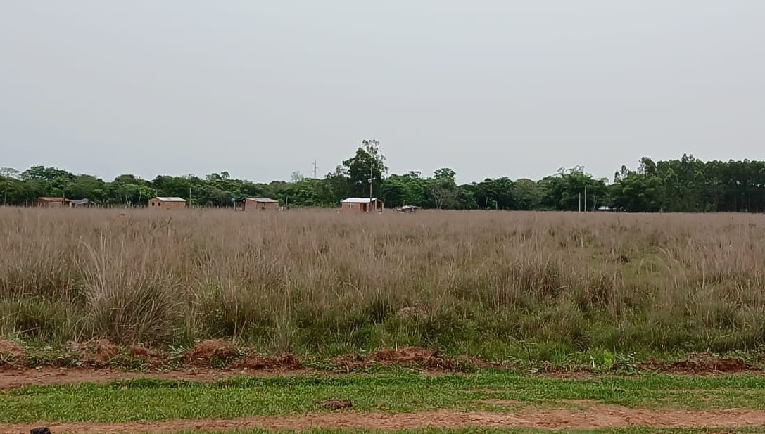 Asociación de beneficiarios de un campo pastoreo de San José, denuncian invasión de personas en el campo comunal