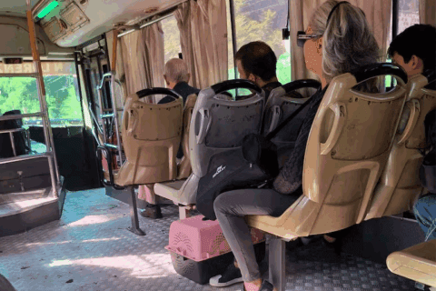 Empresa de transporte pide disculpas por haber echado a pasajera con su gato