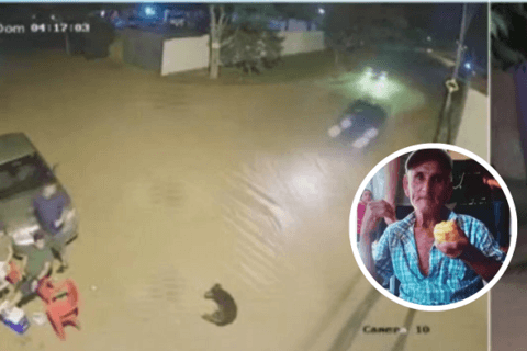 Fiscal imputa por homicidio culposo a conductor que mató a un abuelo y un perro en Luque