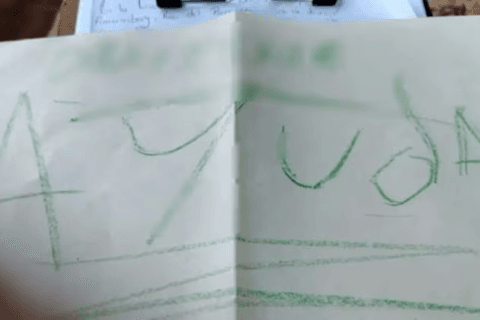 Intervienen ante pedido de ayuda de niña de 10 años, pero resultó ser un reto de TikTok