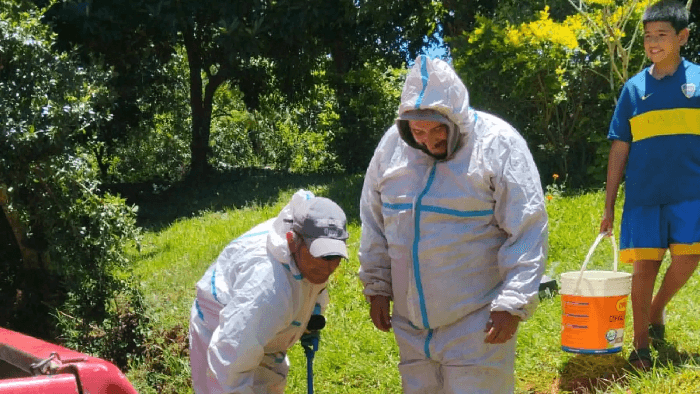Operario del MOPC de 70 años sobrevive al ataque de más de 100 abejas
