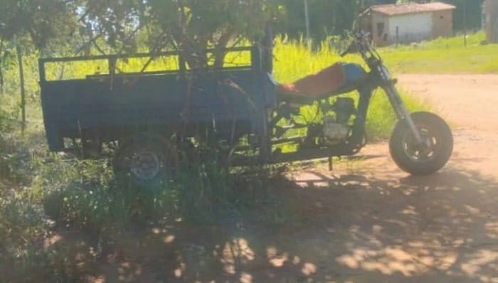 Hombre fallece tras ser atacado por un enjambre de abejas