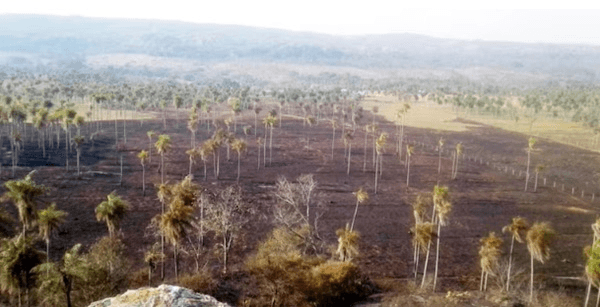 Infona prohíbe el uso de fuego en todo el país por incendios