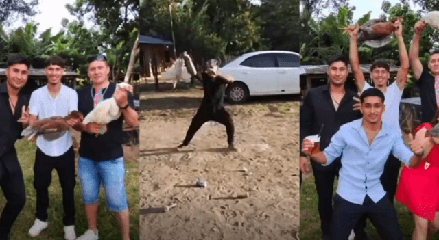 Defensa Animal investiga maltrato a gallos y gallinas en Coronel Oviedo