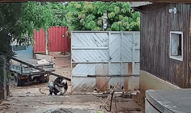 Trabajador murió tras ser golpeado por un tirante en CDE Trabajador murió tras ser golpeado por un tirante en CDE