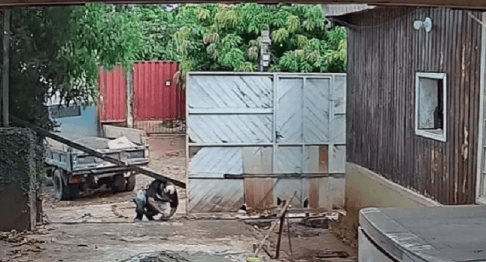 Trabajador murió tras ser golpeado por un tirante en CDE Trabajador murió tras ser golpeado por un tirante en CDE