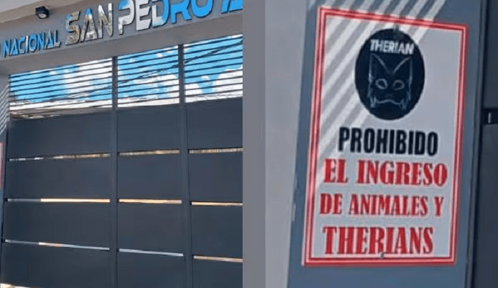 Colegio de Ypané prohíbe el ingreso de animales y “therians”