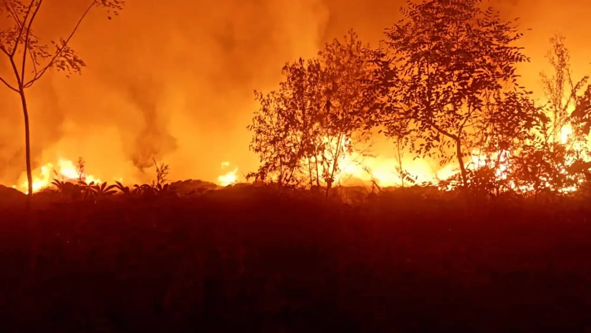 Fuegos artificiales provocan voraz incendio de terreno en Ypané