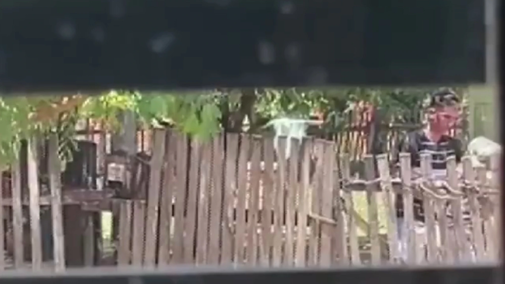 Un nieto es detenido por supuesto maltrato a su abuela en Concepción Un nieto es detenido por supuesto maltrato a su abuela en Concepción