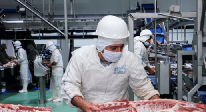 Senacsa anuncia habilitación de frigoríficos para exportar carne porcina a Argentina
