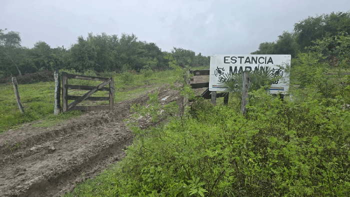 Policía investiga presunto accidente de helicóptero en Alto Paraguay