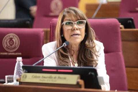 Celeste Amarilla pide regular inteligencia artificial