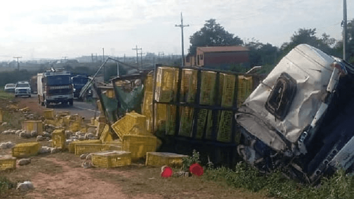 Camión con más de 4.000 gallinas volcó en Emboscada sobre la ruta PY03 Camión con más de 4.000 gallinas volcó en Emboscada sobre la ruta PY03