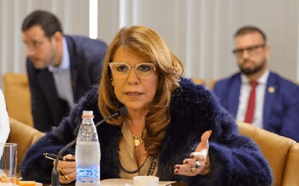 Celeste Amarilla califica de “mediocre” a Santiago Peña Celeste Amarilla califica de “mediocre” a Santiago Peña
