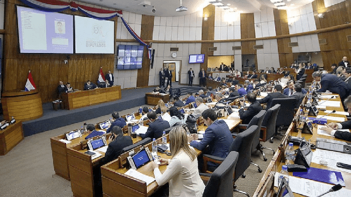 Diputados cartistas rechazan expresiones de Celeste Amarilla, pero no respaldan una sanción Diputados cartistas rechazan expresiones de Celeste Amarilla, pero no respaldan una sanción