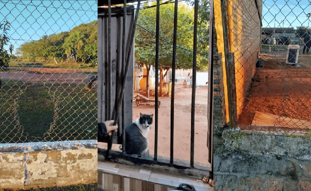 Dos reos condenados se fugan de la Penitenciaría Regional de Misiones Dos reos condenados se fugan de la Penitenciaría Regional de Misiones