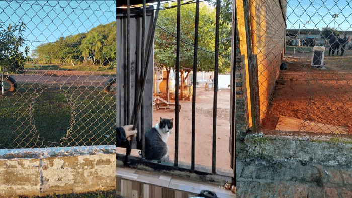 Dos reos condenados se fugan de la Penitenciaría Regional de Misiones Dos reos condenados se fugan de la Penitenciaría Regional de Misiones