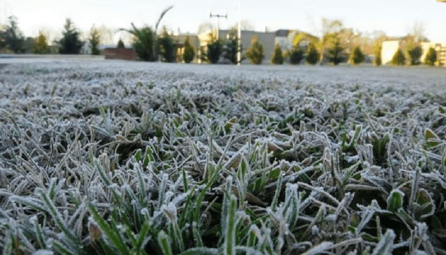 Frío intenso: los departamentos que tendrán hasta 3 °C de mínima este viernes Frío intenso: los departamentos que tendrán hasta 3 °C de mínima este viernes