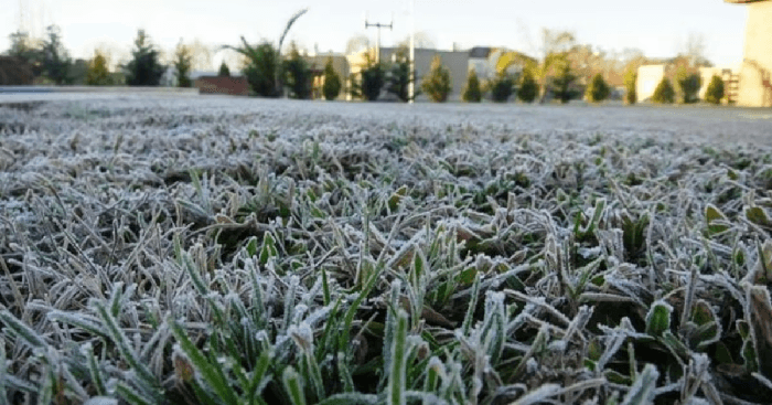 Frío intenso: los departamentos que tendrán hasta 3 °C de mínima este viernes
