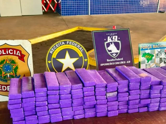 Detienen a paraguayo con 101 kilos de marihuana en el Puente de la Amistad Detienen a paraguayo con 101 kilos de marihuana en el Puente de la Amistad