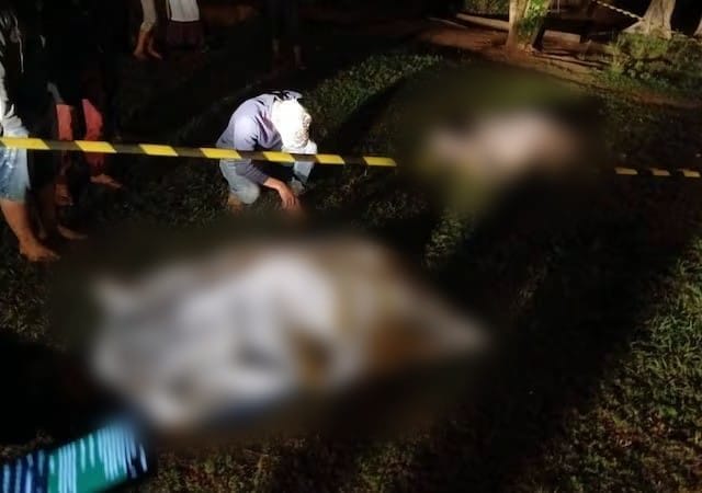 Asesinan a dos hermanos en la vía pública en Bella Vista Norte Asesinan a dos hermanos en la vía pública en Bella Vista Norte