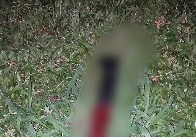 Joven sobrevive tras ser atacada con machete y detienen a su pareja en Loreto