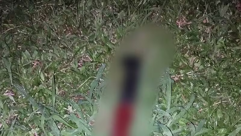 Joven sobrevive tras ser atacada con machete y detienen a su pareja en Loreto
